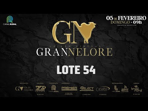 LOTE 54