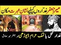 Meer jafar kon thameer jafar and mir sadiq historymir jafar mir sadiq history in urdunamak haram