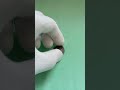 Нотгельд г Кассель