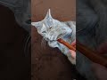 ブラッシングを嫌がる猫#Shorts