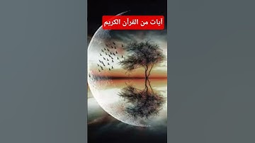 آيات من القرآن الكريم #قرآن #أطمئن #صلى_ع_النبى #توعيه #ستوريات_دينية #اكسبلور #المصحف