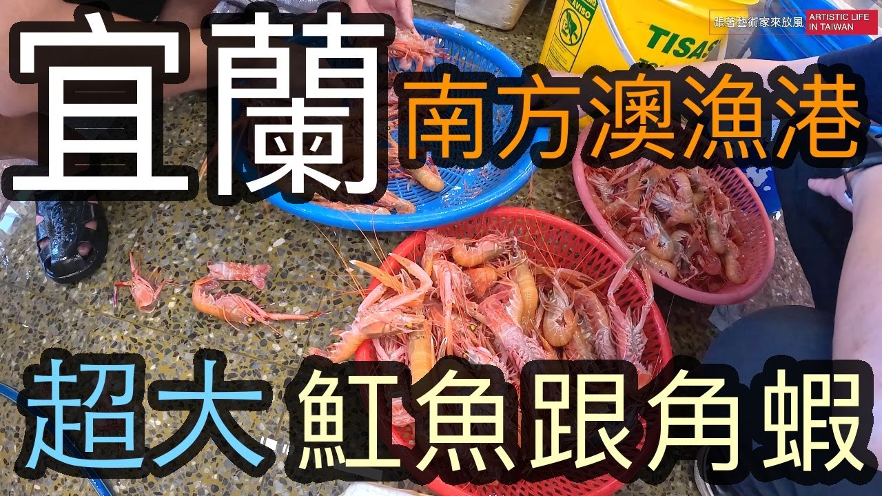 現撈一公斤1500的角蝦 到底有多大隻 來宜蘭南方澳漁港買馬頭看海鰻吃喇冰【跟著藝術家來放風】126 中文字幕 #海鮮 #漁港 #seafood #南方澳