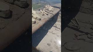 Alacahöyük Kral Mezarları