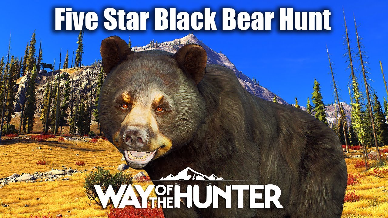 Way Of The Hunter 5 Star Black Bear Hunt YouTube
