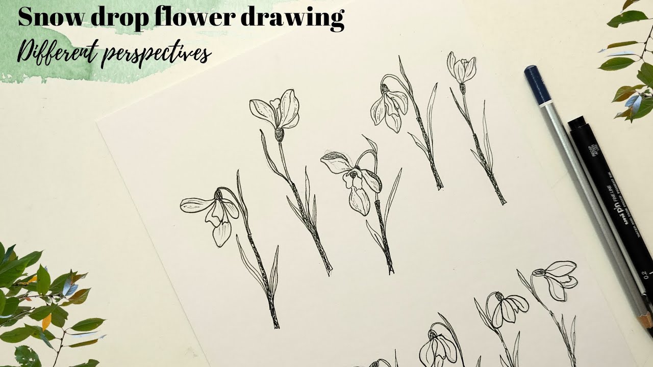 How to draw snow drop flowers. Different perspectives of flowers. Sketching tutorial. 