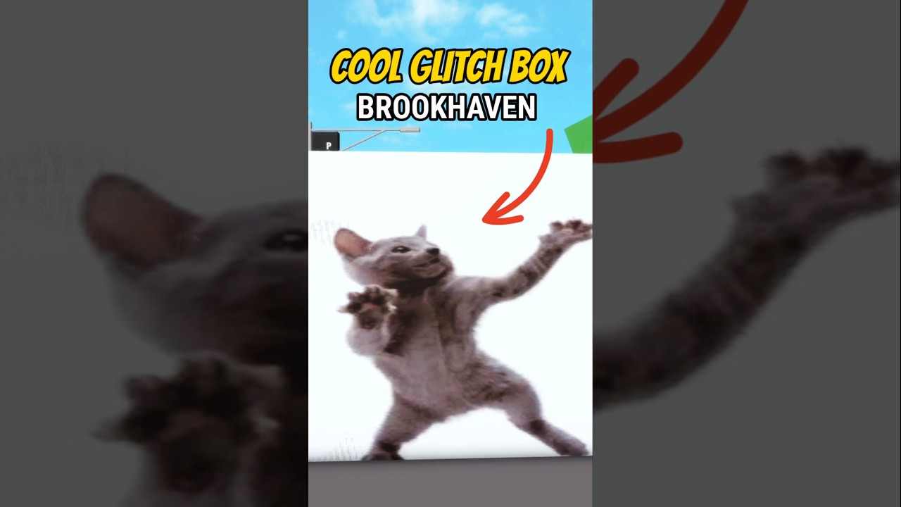 COOL GLITCH BOX DANCING CAT Di Brookhaven 