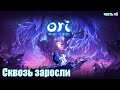 Ori and the Will of the Wisps - Сквозь заросли (часть #5)