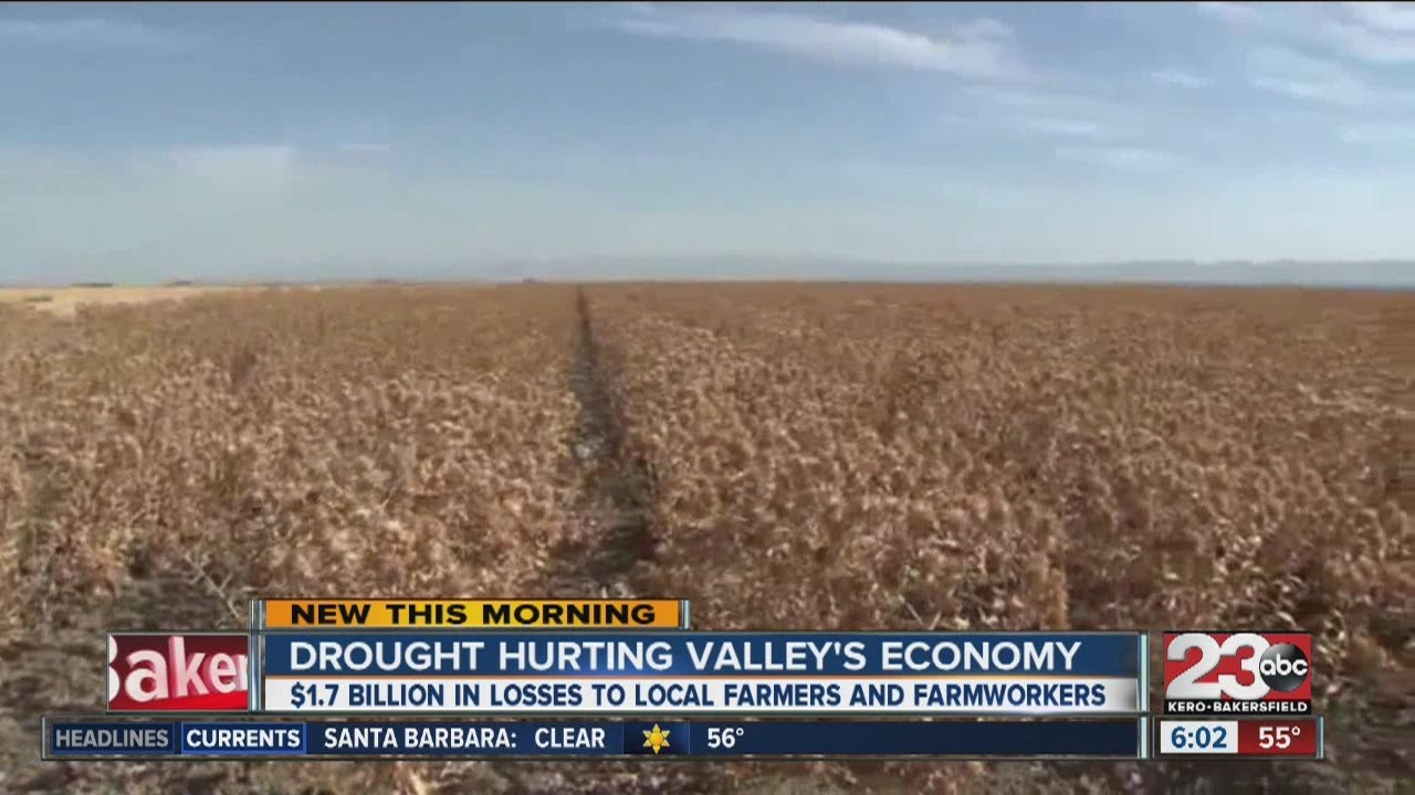 The devastating drought is hurting the Central Valley economy YouTube