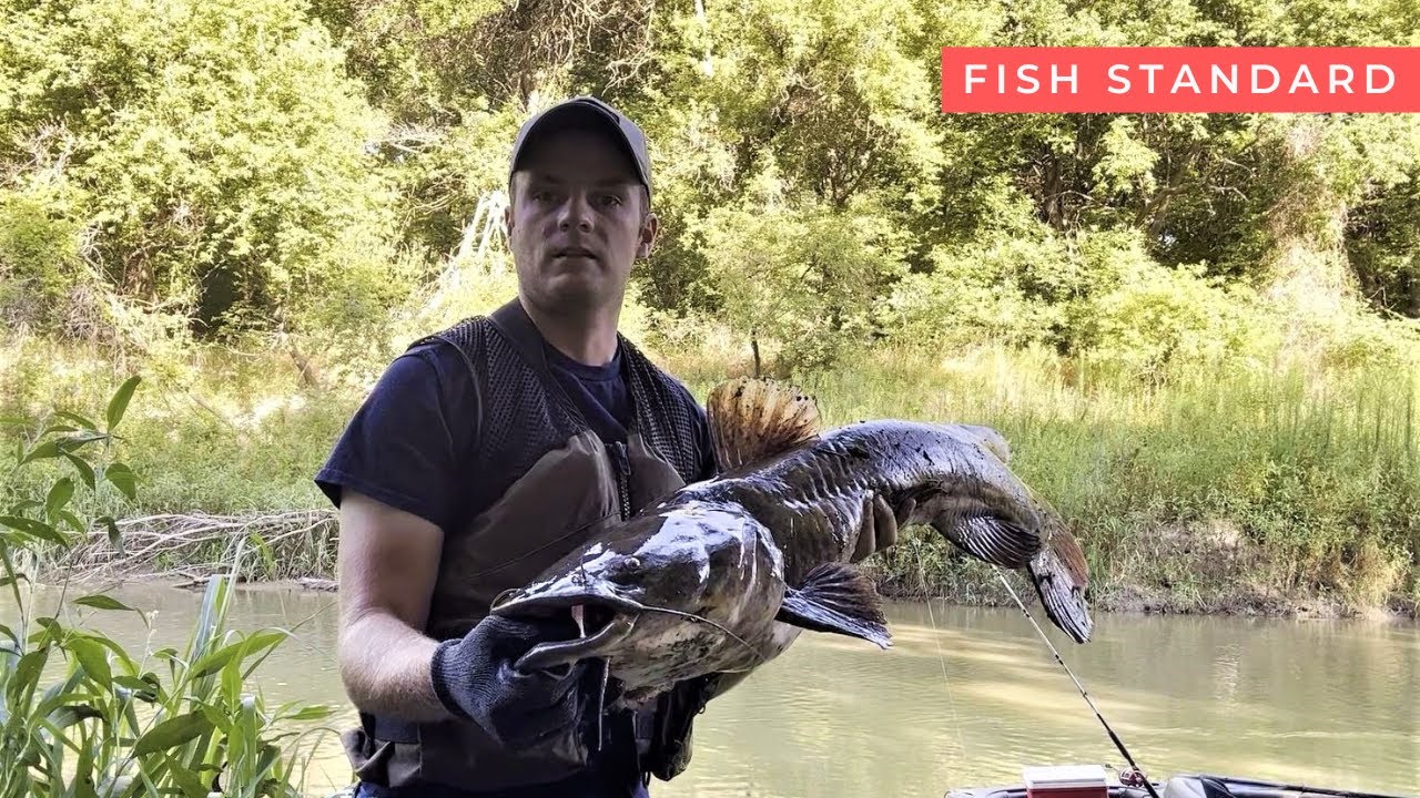BIG Flathead Catfish Nearly STRAIGHTENED the Hook! Flathead
