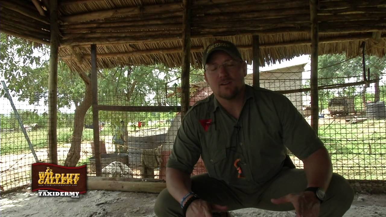 hunting simulator pc Hunting Field Tip - Tanzanian Skinning Barn