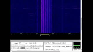 The Russian Signal 8001khz LIVE