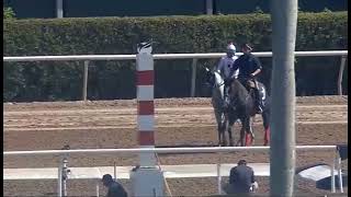 RACE 2- GULFSTREAM PARK- USA- 27 DEC 2025