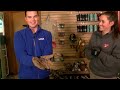 Wild Animal Wednesday on News 3 This Morning: Meet the Tarantula!