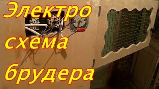 Электро схема Брудера