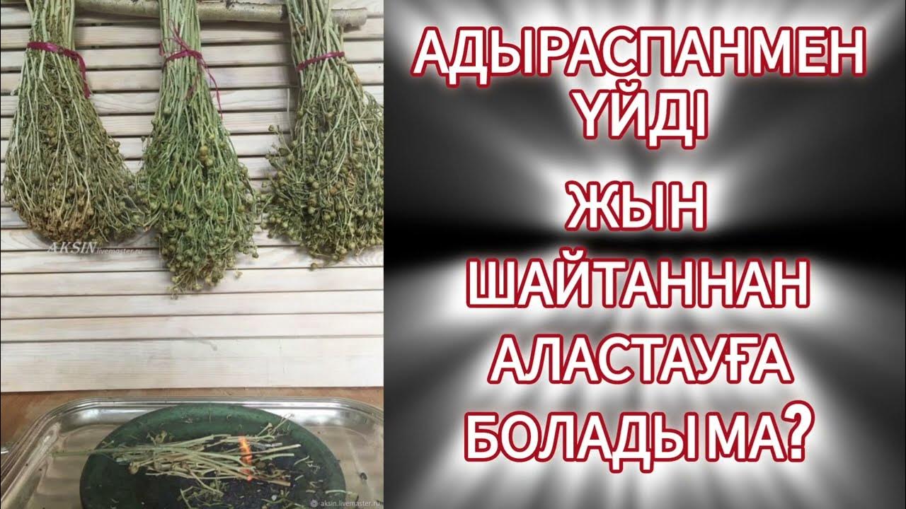 The Scam порно фильмін онлайн көріңіз Ретро YouTube порно бейнелері