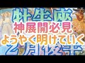［牡牛座］シンクロ、重なり、神展開必見‼️最近辛かった方、ようやく明けていく🌅 （2024年２月後半運勢）