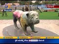 India's First Exclusive Dog Park Inaugurated in Hyderabad