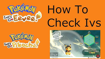 Pokemon Lets Go How to check IV. Judge Function