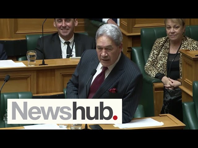 'Bigoted lefty', 'colonesian': Insults fly in Parliament with Peters in hot seat | Newshub class=