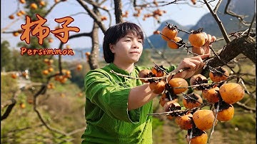 家乡老人种植的柿子树，小兰去摘一满筐柿子回来，使用古法日晒柿子饼，好吃无添加，好多人还不懂。  Persimmon cake