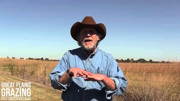 How do you measure methane emissions from cows? Dr. Rick Todd - Speed Science