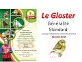 Le canari gloster  gnralit  et standard  part 1