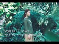 WALNUT 通信