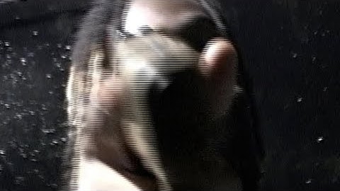 Osamason - PSYKOTIC Album Trailer