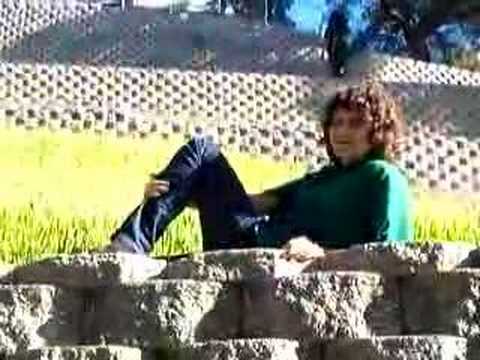 birkenstocks 
