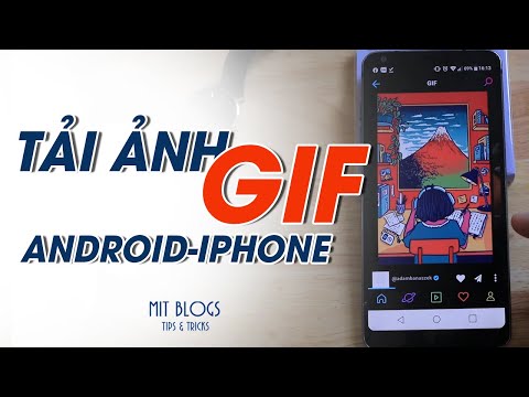 Hướng dẫn cách tải, lưu ảnh GIF về điện thoại Android, iPhone đơn giản