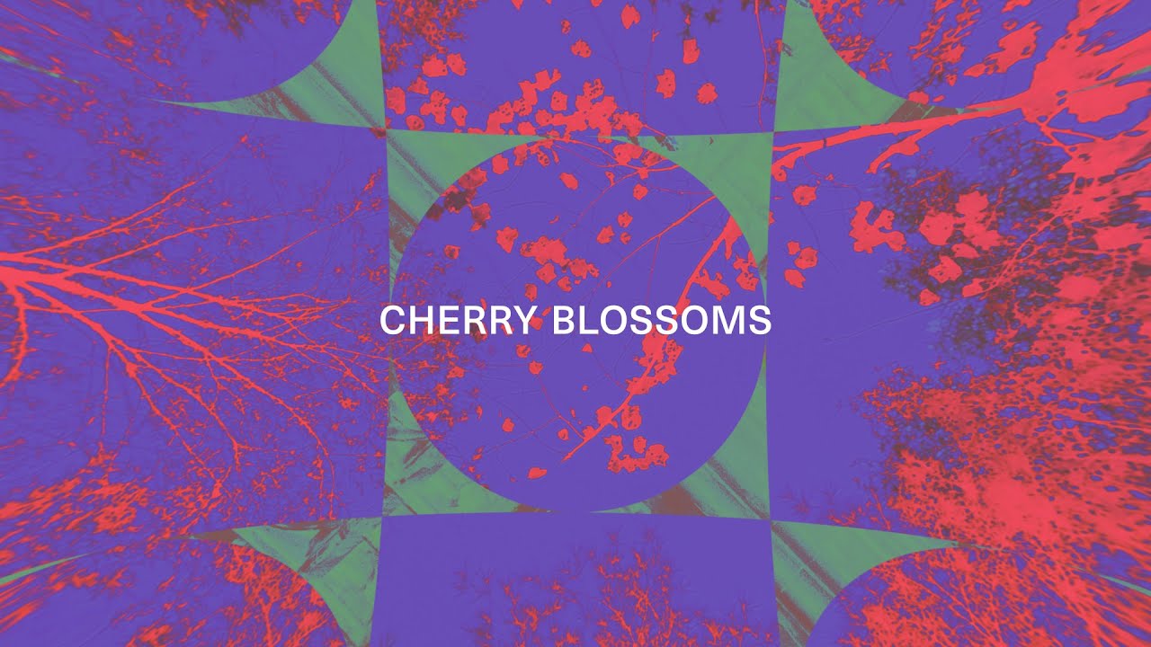 CHERRY BLOSSOMS [LYRIC VIDEO] My Hope Has Come Vineyard Worship