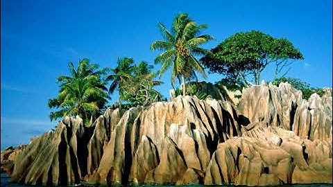 سورة الملك بصوت القارئ ياسر فرج الشندويلي