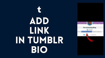 How to Add Link in Tumblr Bio 2024?