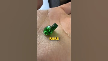 Lego Animals from SMALLEST TO BIGGEST!