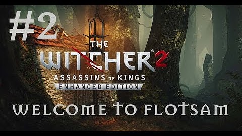 The Witcher 2: Assasins of Kings - Chapter 1 Flotsam All Cutscene part 2