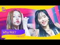 이달의 소녀(LOONA) _ Why Not? | 컴백쇼 뮤톡라이브 | 희진 현진 여진 비비 김립 진솔 최리 이브 츄 고원 올리비아 혜