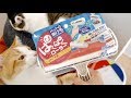 コロコロ要らず！猫の抜け毛スッキリお掃除グッズ【ぱくぱくローラー】