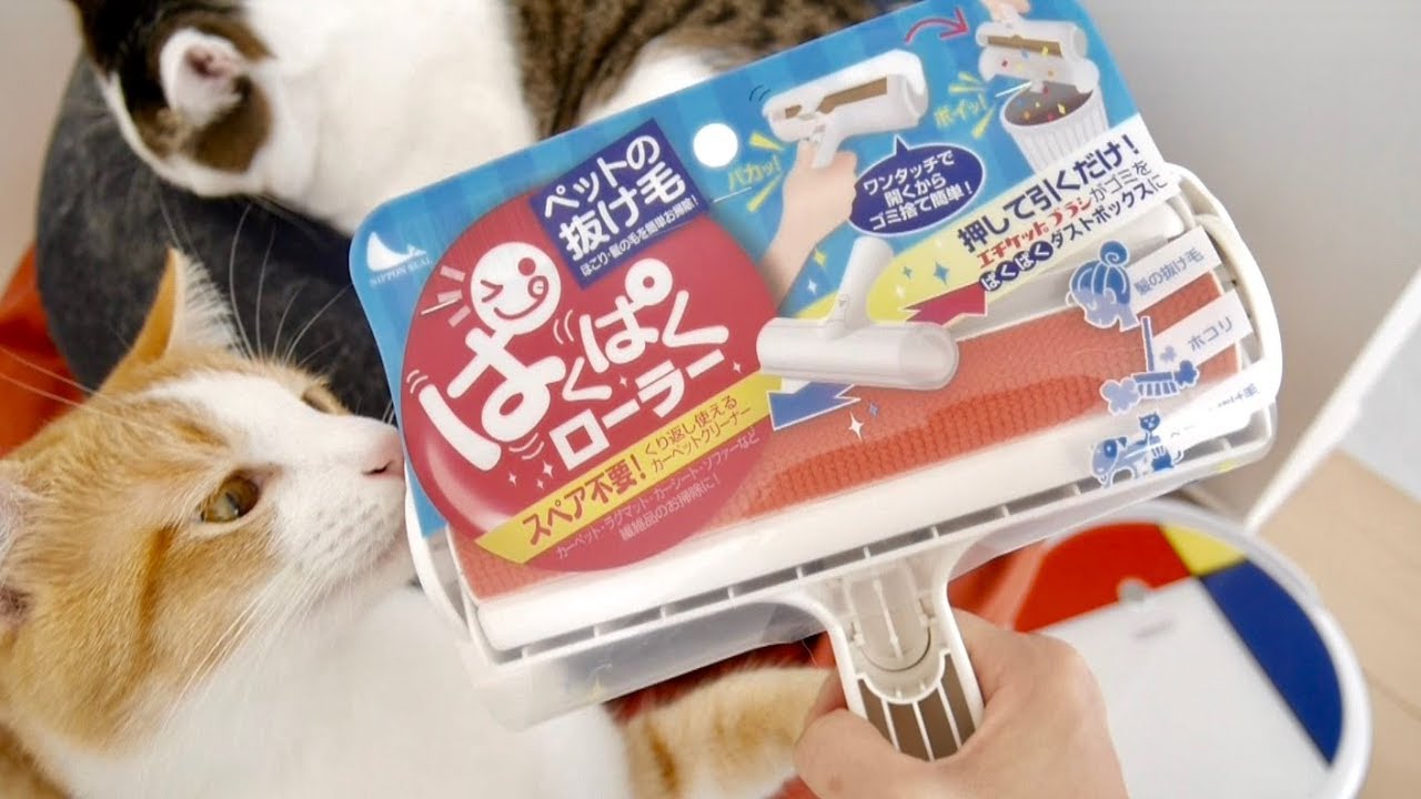 コロコロ要らず 猫の抜け毛スッキリお掃除グッズ ぱくぱくローラー Youtube