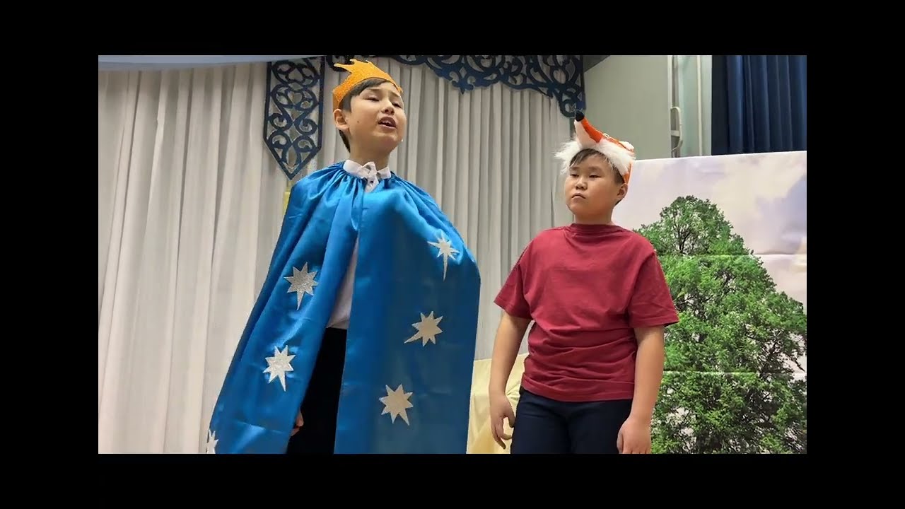 «Маленький принц»                                         ( экологическая сказка)