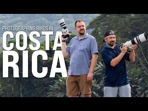 Trail Camera: Bird Photography In Costa Rica