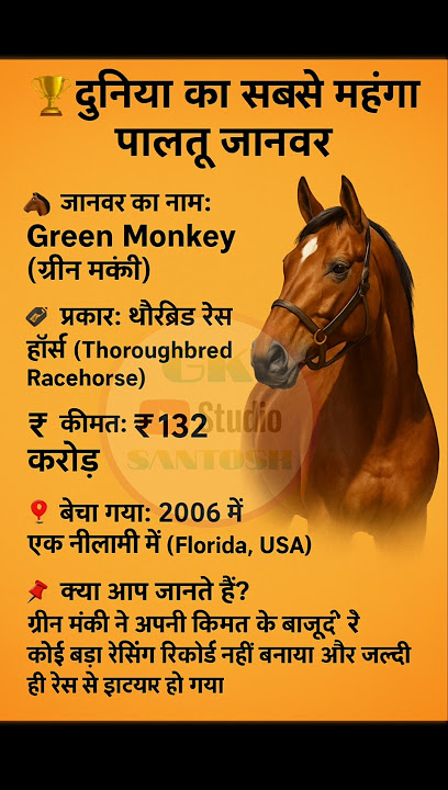 The most expensive pet animal in the world | दुनिया का सबसे महंगा पालतू जानवर | #animals #shorts