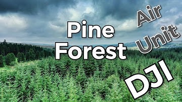 GEPRC MARK4 - DJI Air Unit - DJI Mavic2 PRO - LumaFusion - Pine Forest surroundings