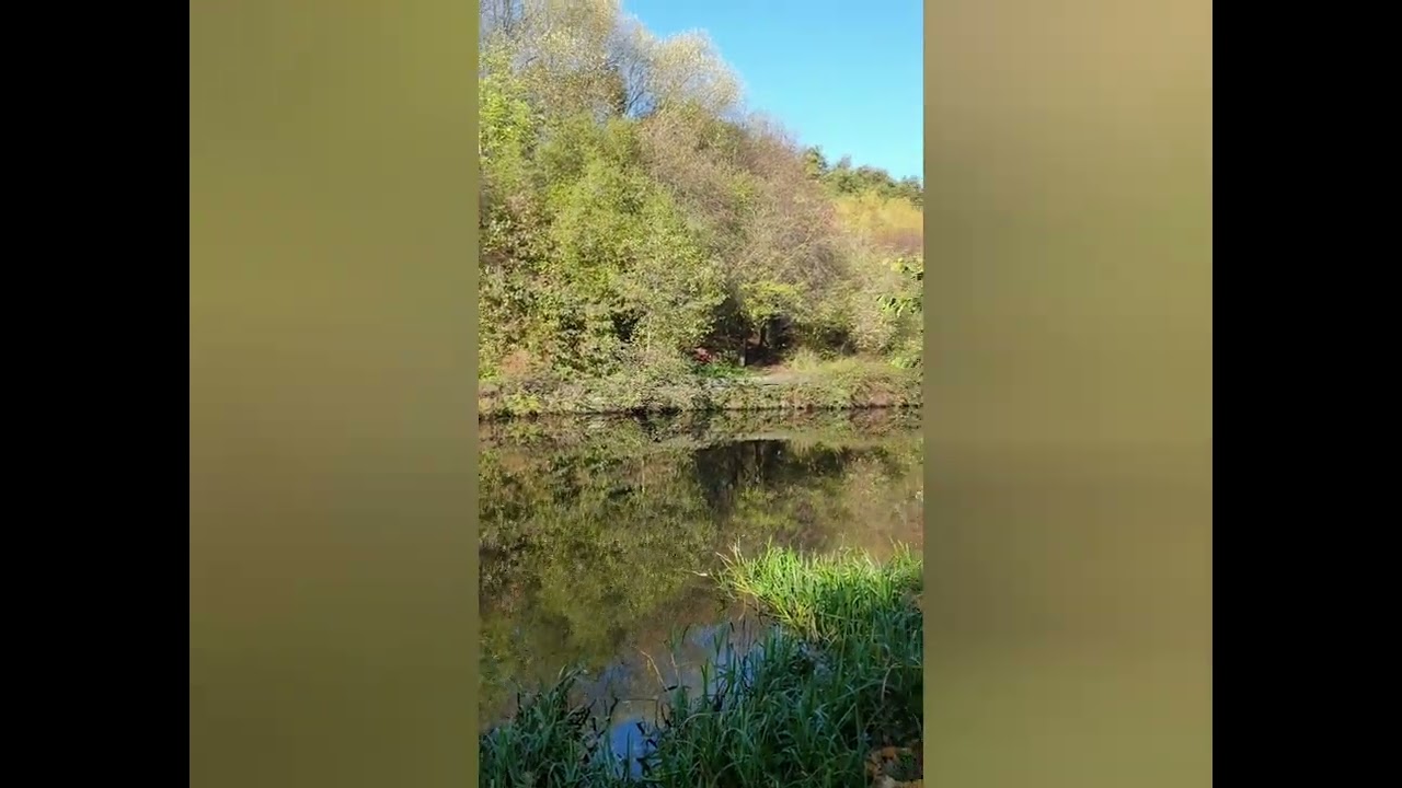 Earl Fitzwilliam's Canal a little bit of history