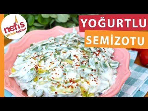Yoğurtlu Semizotu Salatası - SEMİZOTU YEMEYENLERE YEDİRİR :) - Nefis Yemek Tarifleri