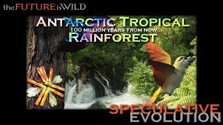 Speculative Evolution / Antarctic Tropical Rainforest
