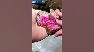 Đổ thạch viên đá Spinel 1 tỷ Đá quý Lục Yên Gemstone Luxury