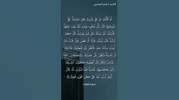 سورة البقرة (٢٥٩)/ ياسر الدوسري