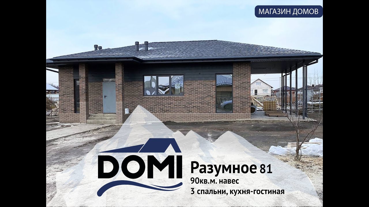 разумное 81 дома