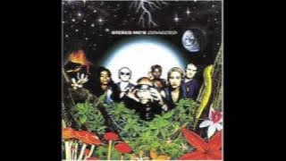 Connected - Stereo Mc's