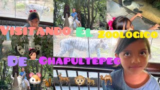 Visitando el zoológico de Chapultepec